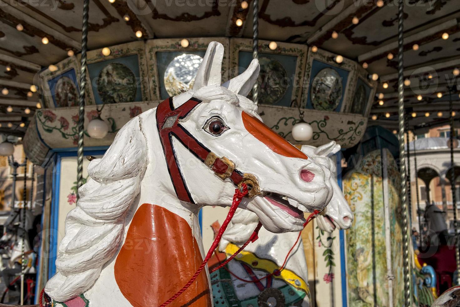 old carousel horse photo