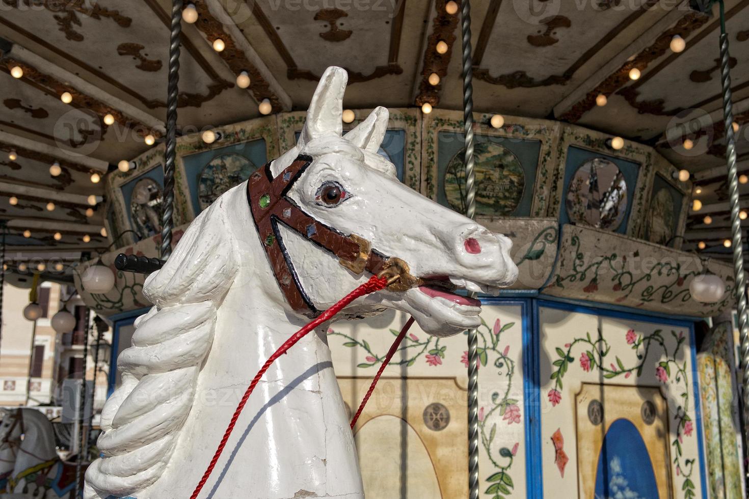 old carousel horse photo