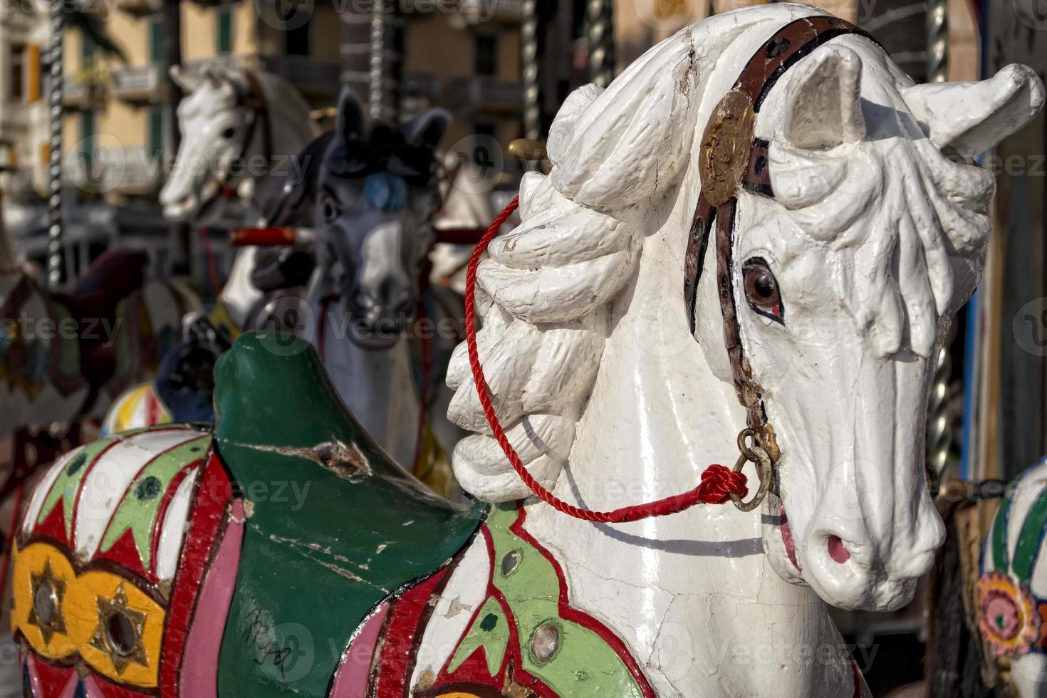 old carousel horse photo