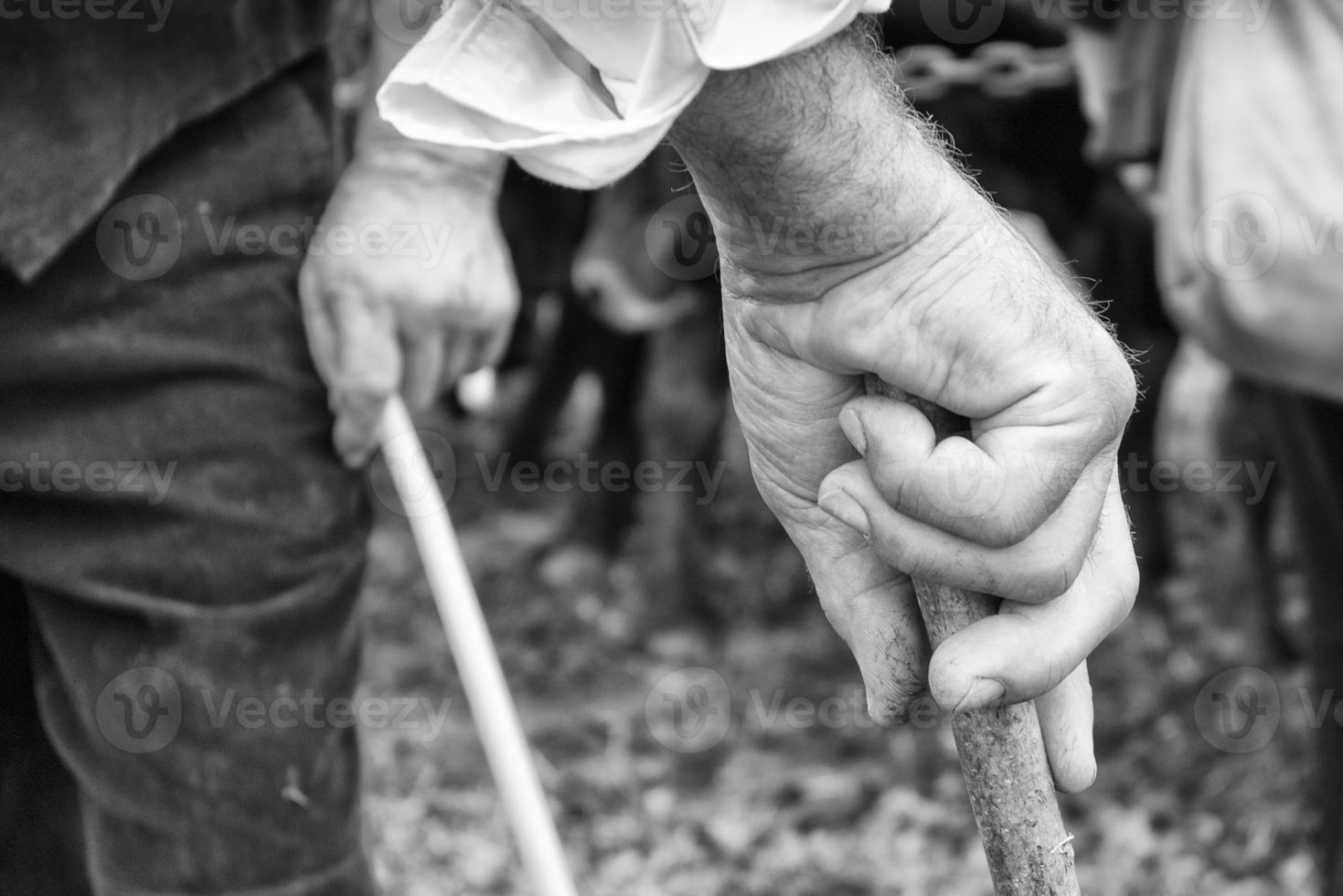 old farmer hand holding a stick in black and white photo