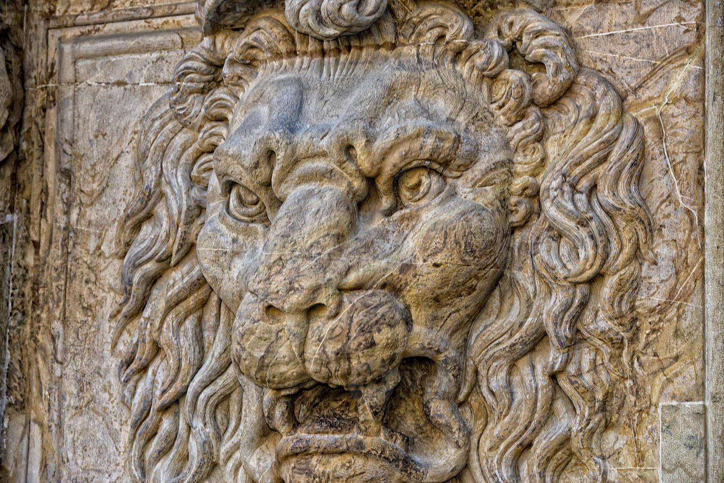 palazzo pitti lion photo