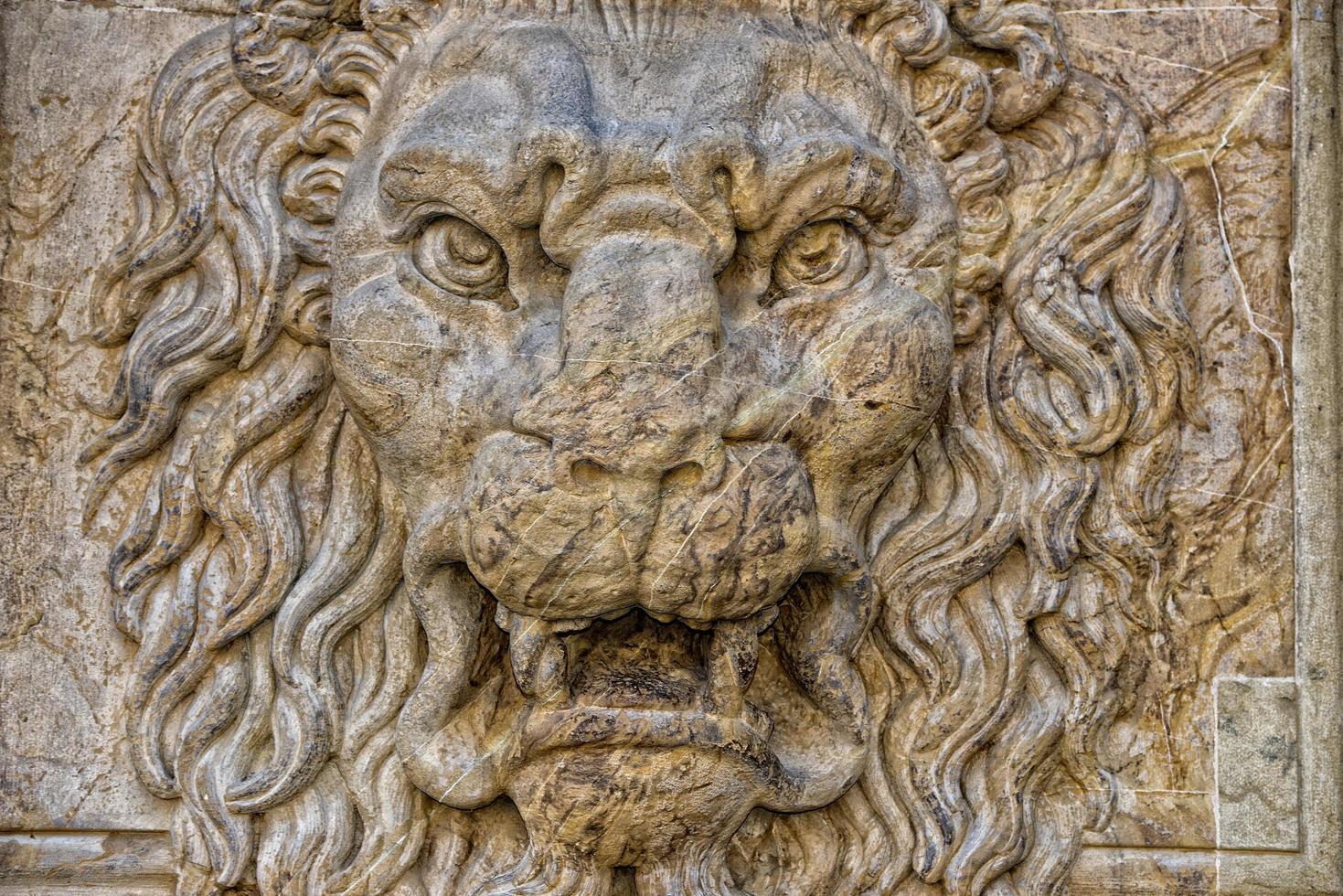 palazzo pitti lion photo