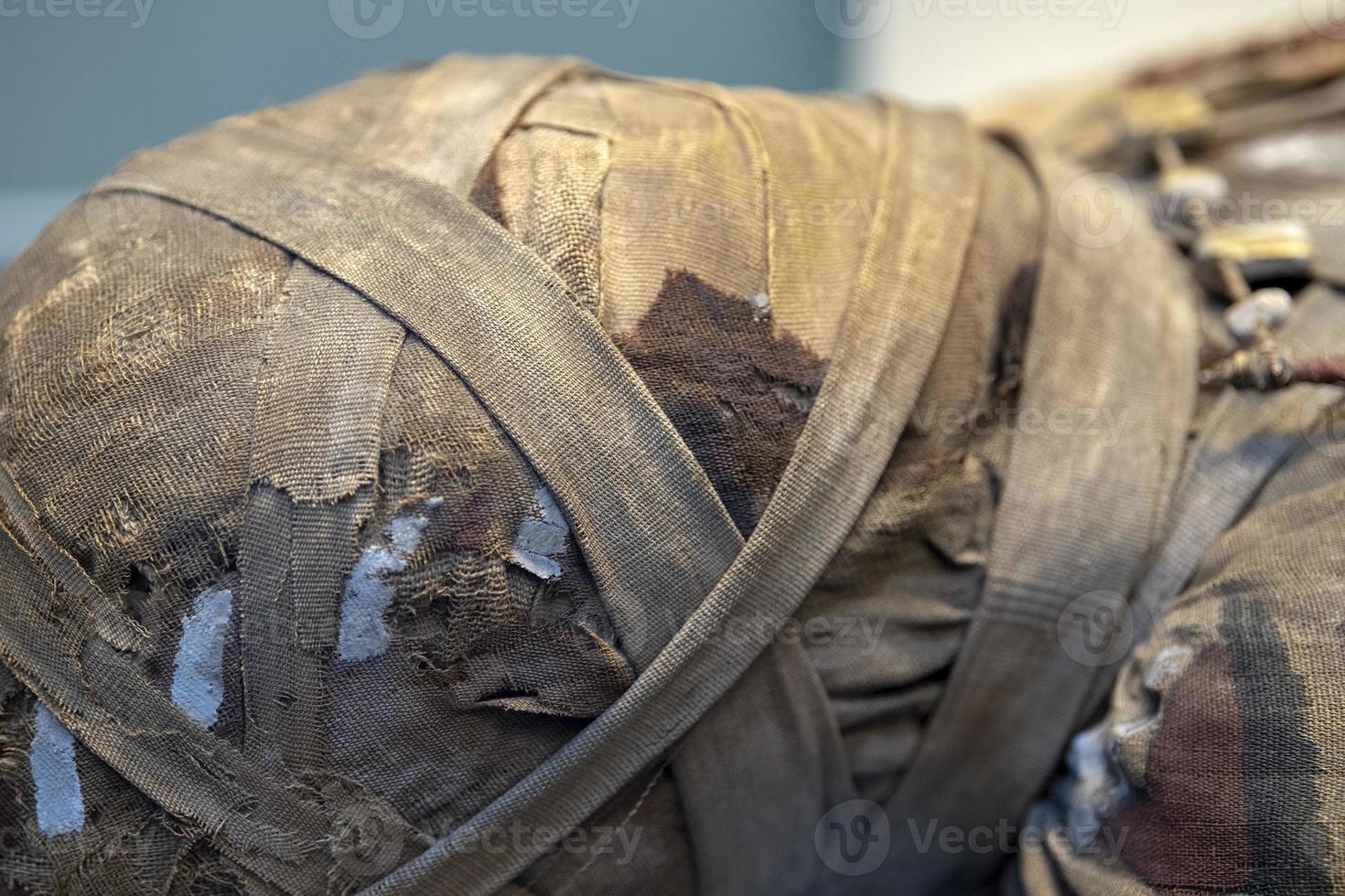 egypt mummy head close up photo
