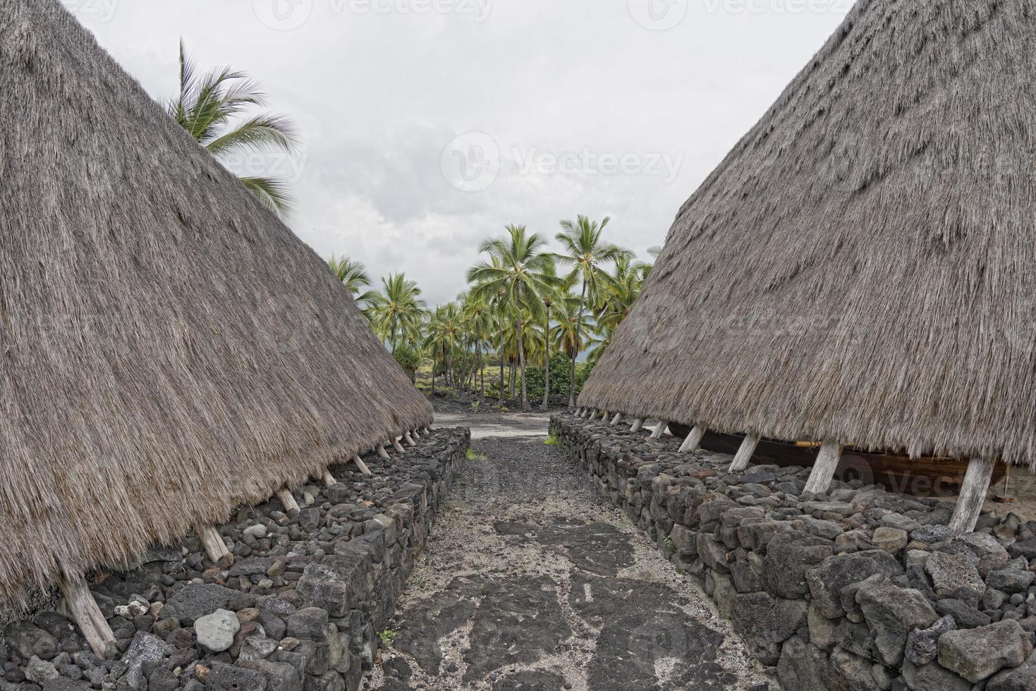 hawaiian hut on the beach photo