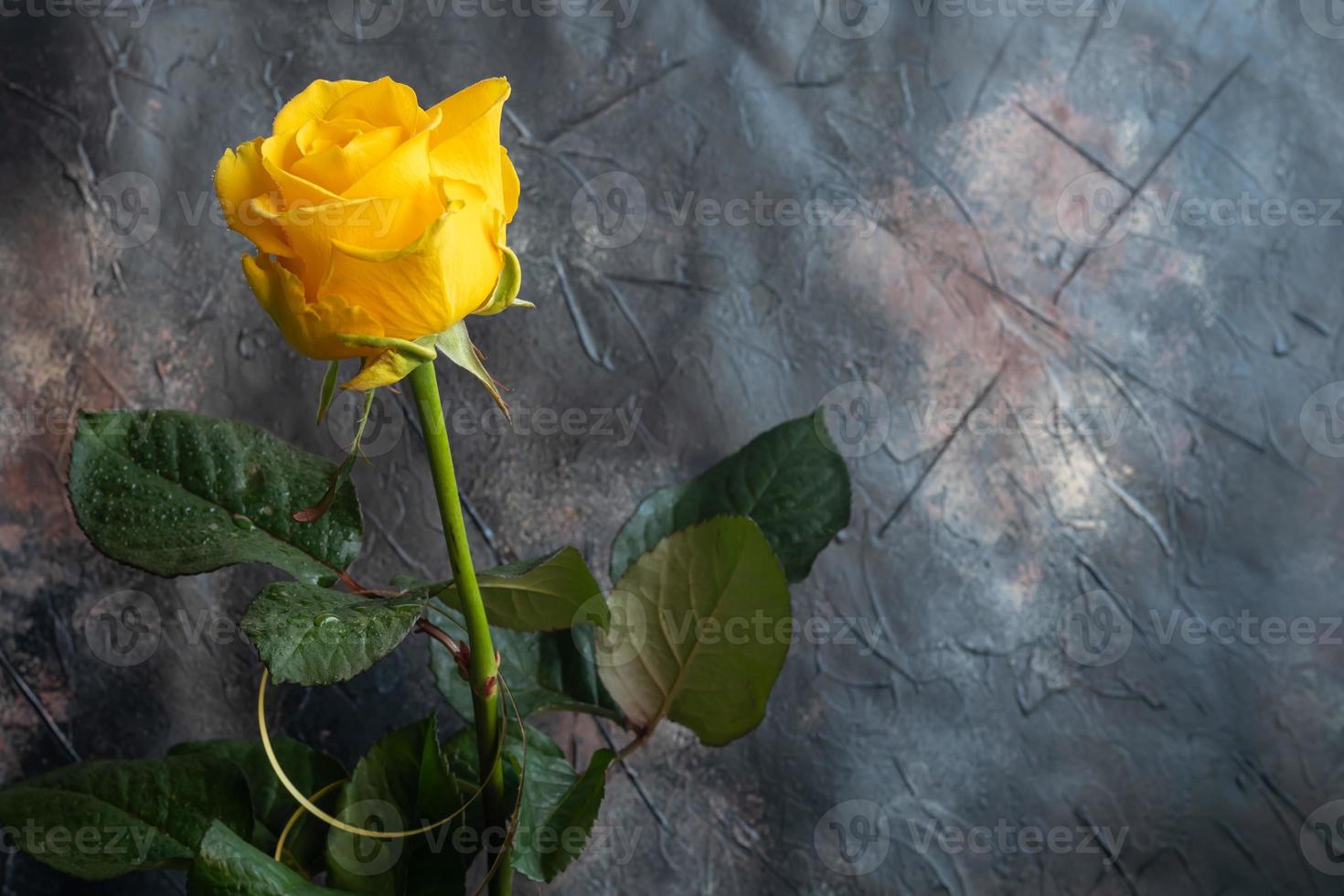 ramo de flores de rosas para el día festivo. De las mujeres día, San Valentín día, nombre día. en un oscuro antecedentes. foto