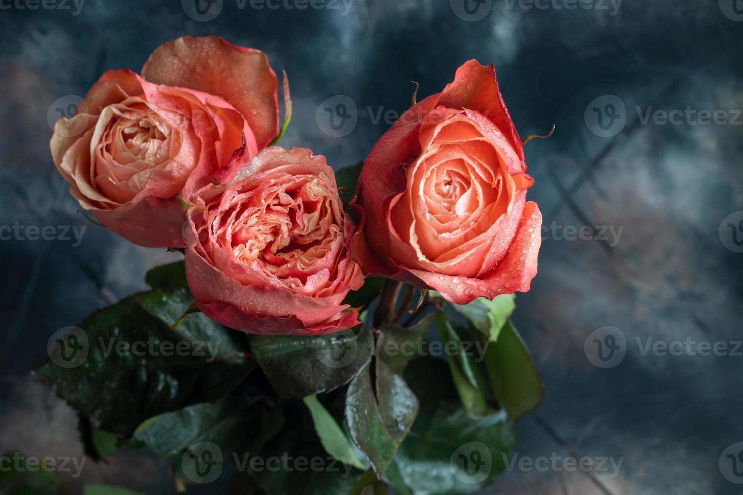 ramo de flores de rosas para el día festivo. De las mujeres día, San Valentín día, nombre día. en un oscuro antecedentes. foto