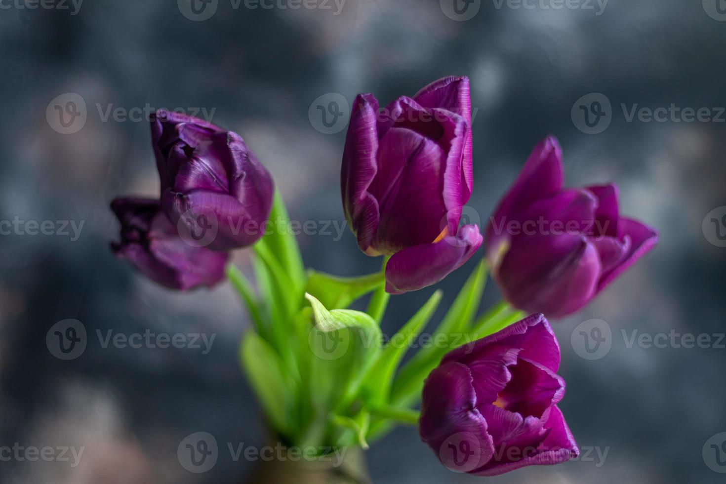 ramo de flores de tulipanes para el día festivo. De las mujeres día, San Valentín día, nombre día. en un oscuro antecedentes con reflexión. foto