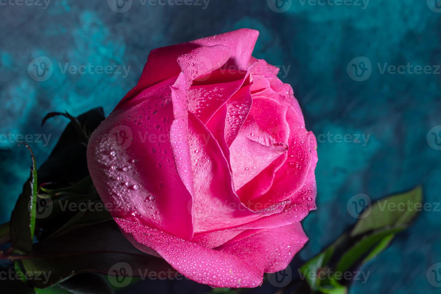 ramo de flores de rosas para el día festivo. De las mujeres día, San Valentín día, nombre día. en un oscuro antecedentes. foto