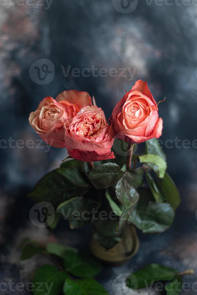 ramo de flores de rosas para el día festivo. De las mujeres día, San Valentín día, nombre día. en un oscuro antecedentes. foto
