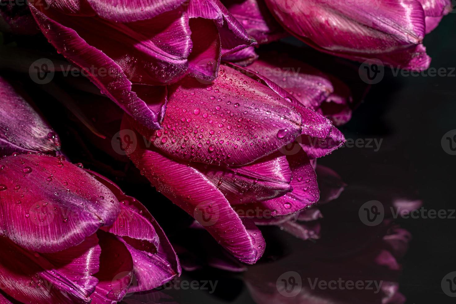 ramo de flores de tulipanes para el día festivo. De las mujeres día, San Valentín día, nombre día. en un oscuro antecedentes con reflexión. foto