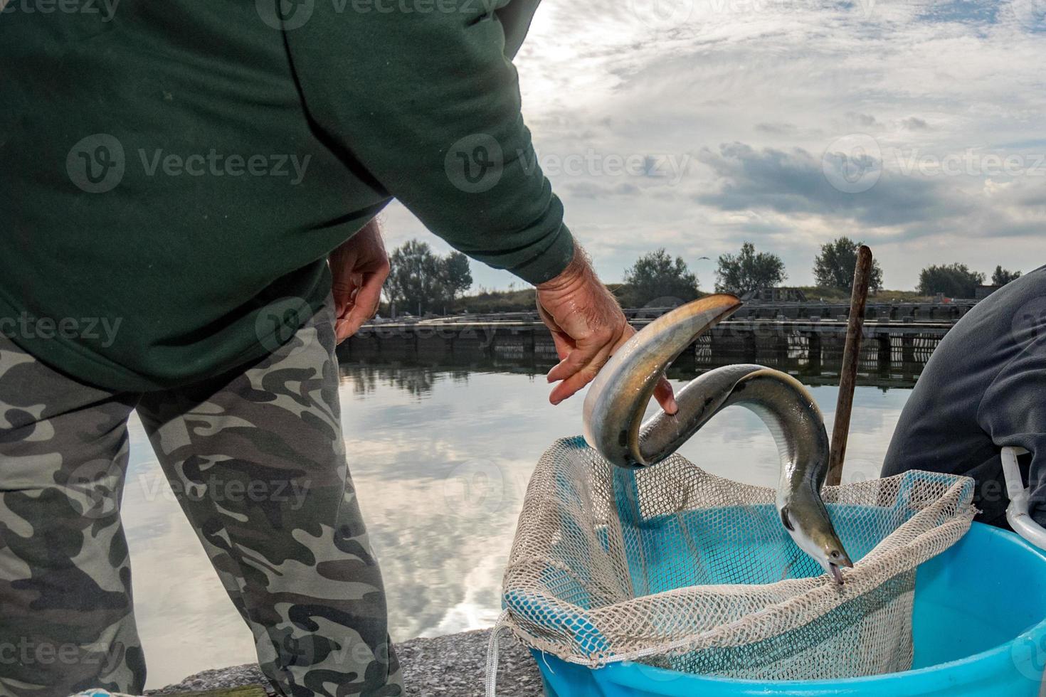 The traditional eel festival in Comacchio Italy photo