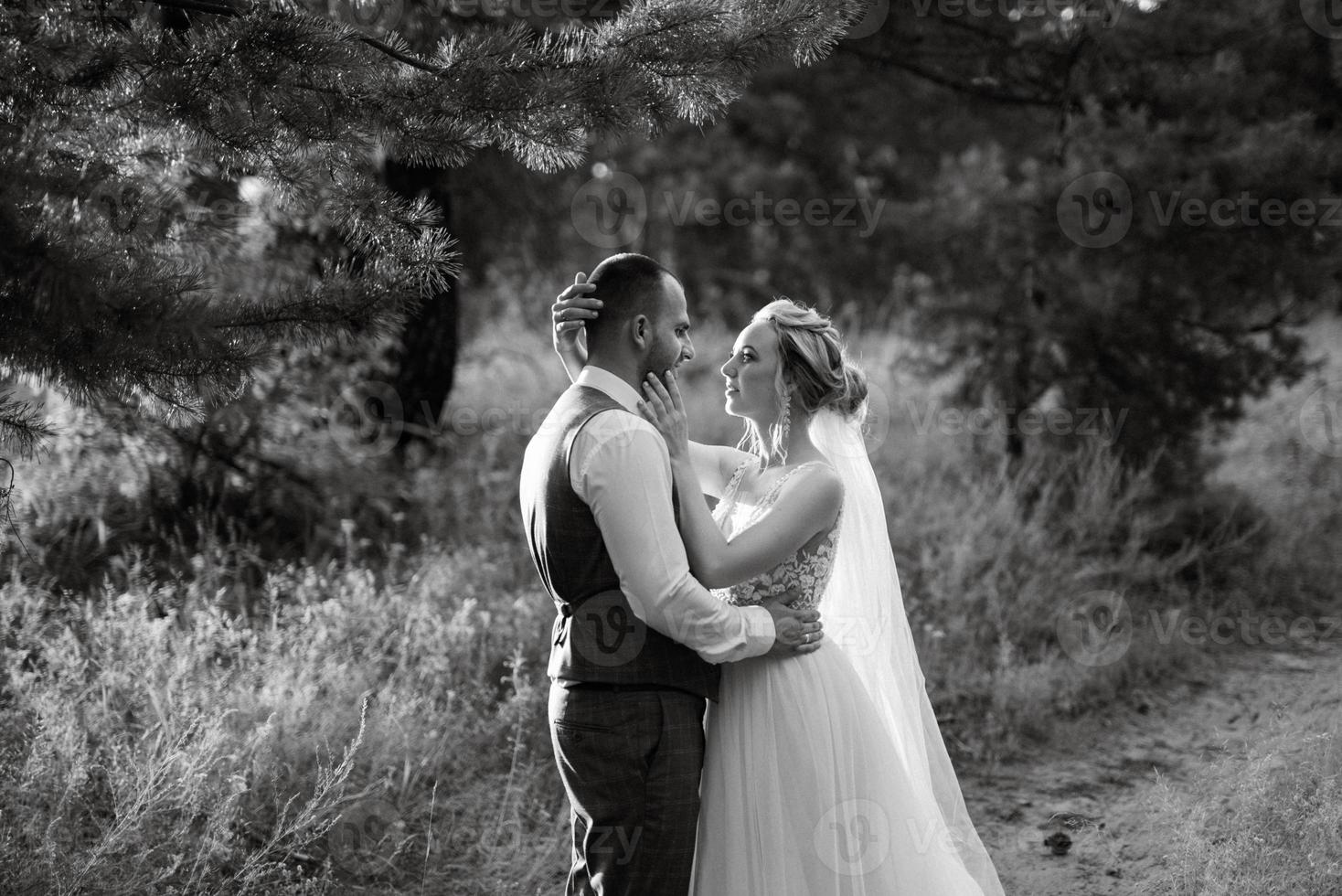 the groom and the bride are walking in the forest photo