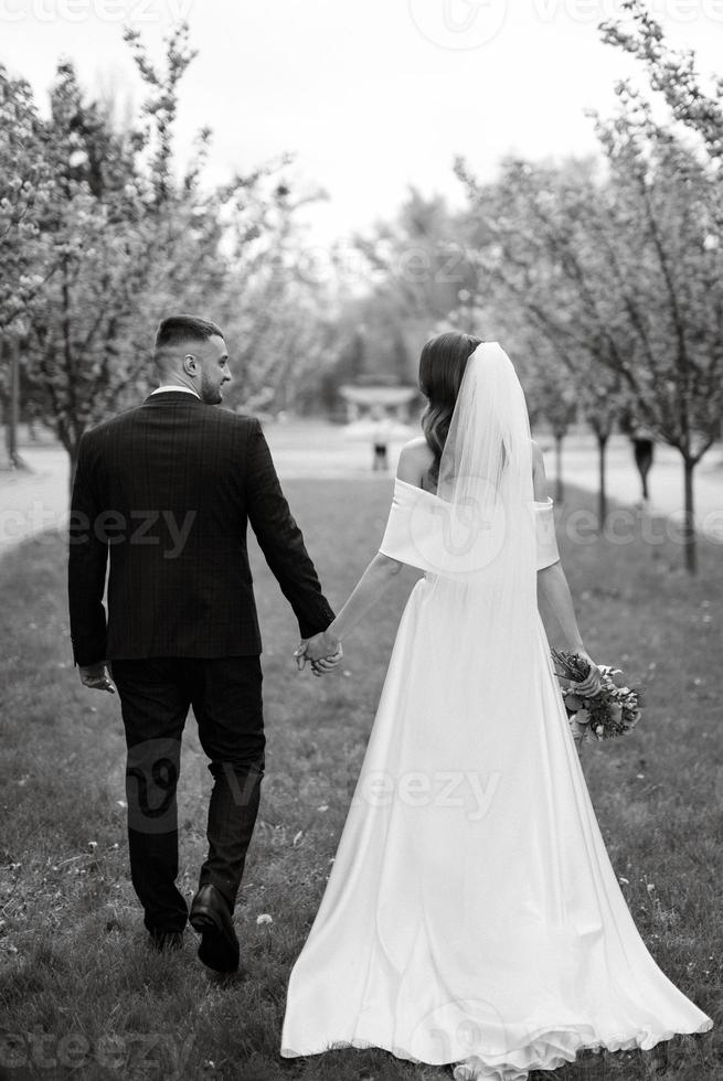 recién casados caminar en el parque entre Cereza flores foto