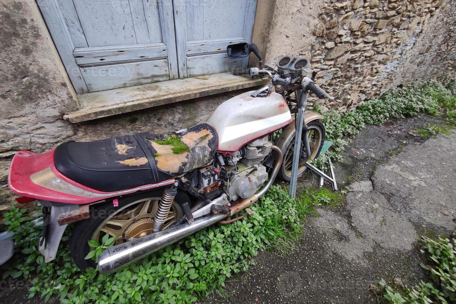 abandoned bike with moss on saddle photo