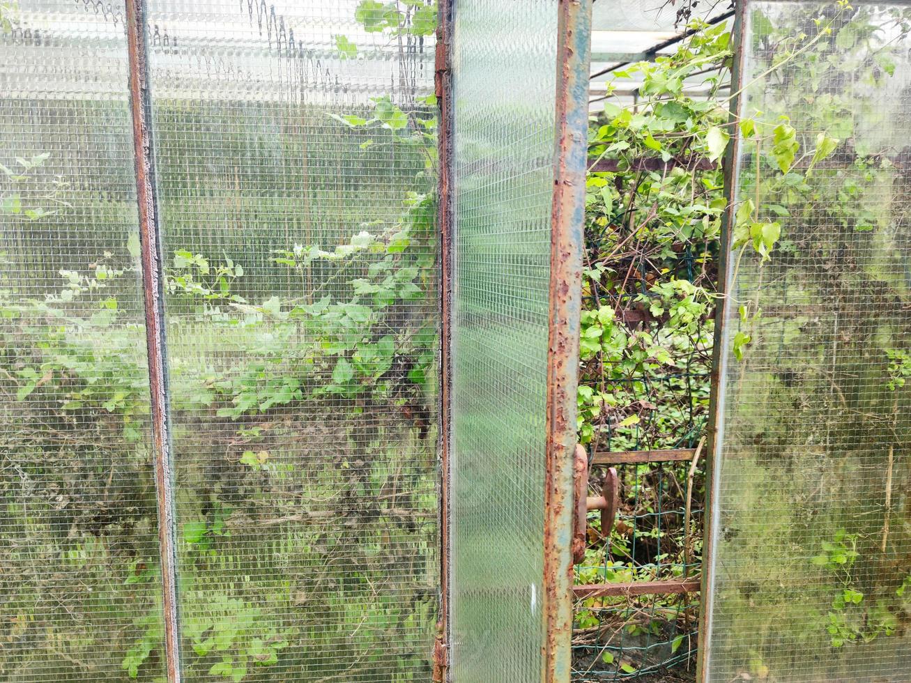 old abandoned greenhouse broken windows photo