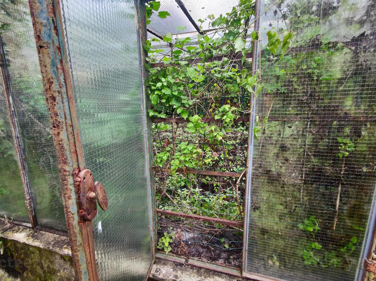 old abandoned greenhouse broken windows photo