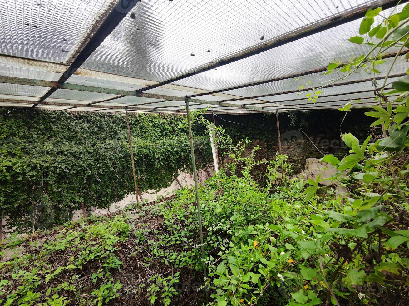 old abandoned greenhouse broken windows photo