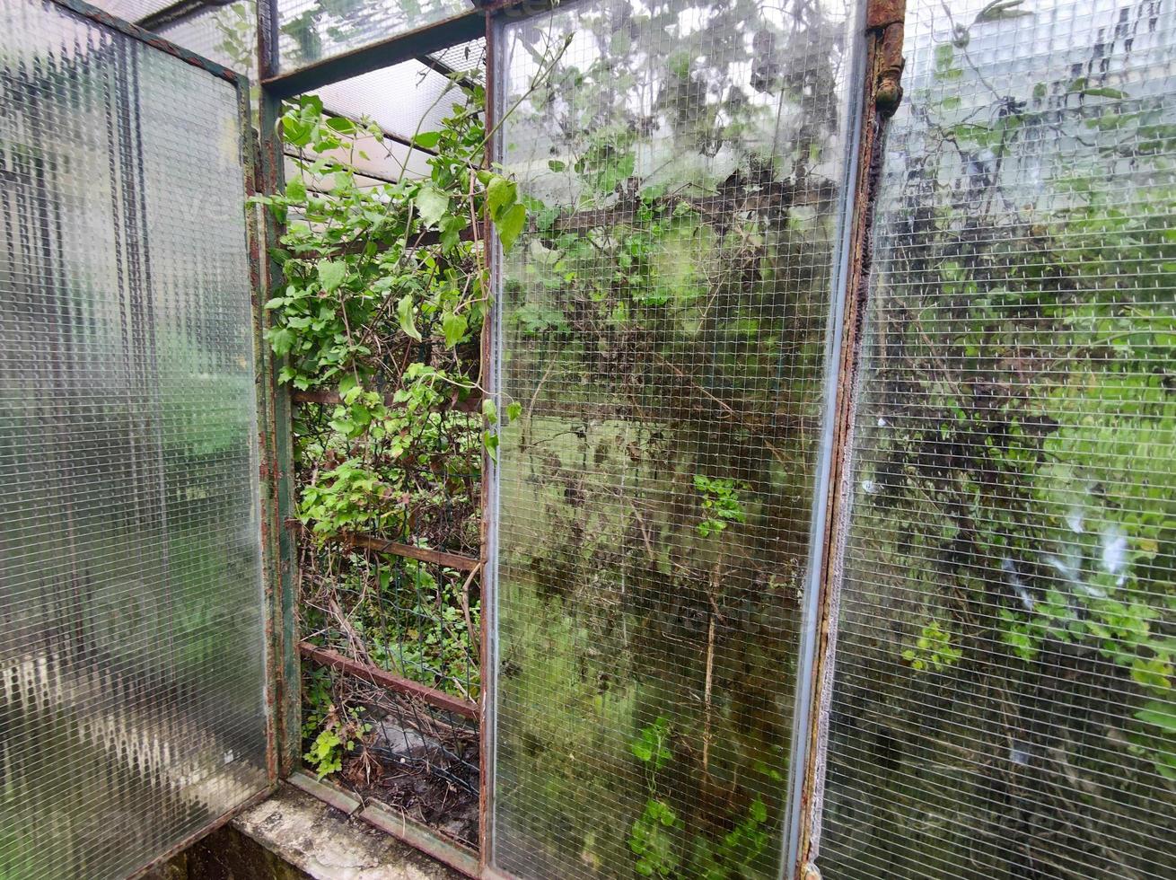 old abandoned greenhouse broken windows photo