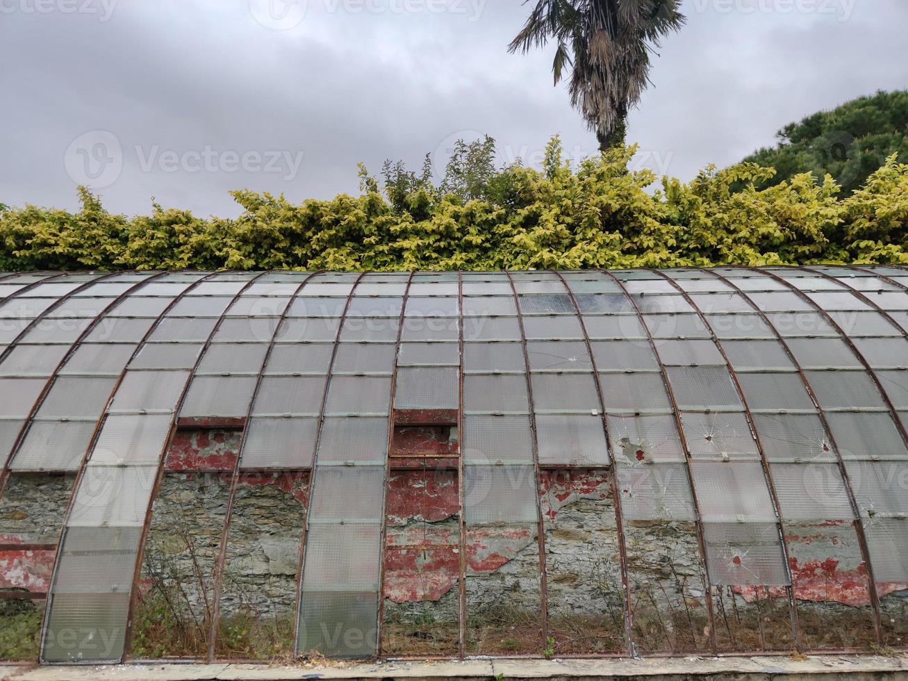 old abandoned greenhouse broken windows photo