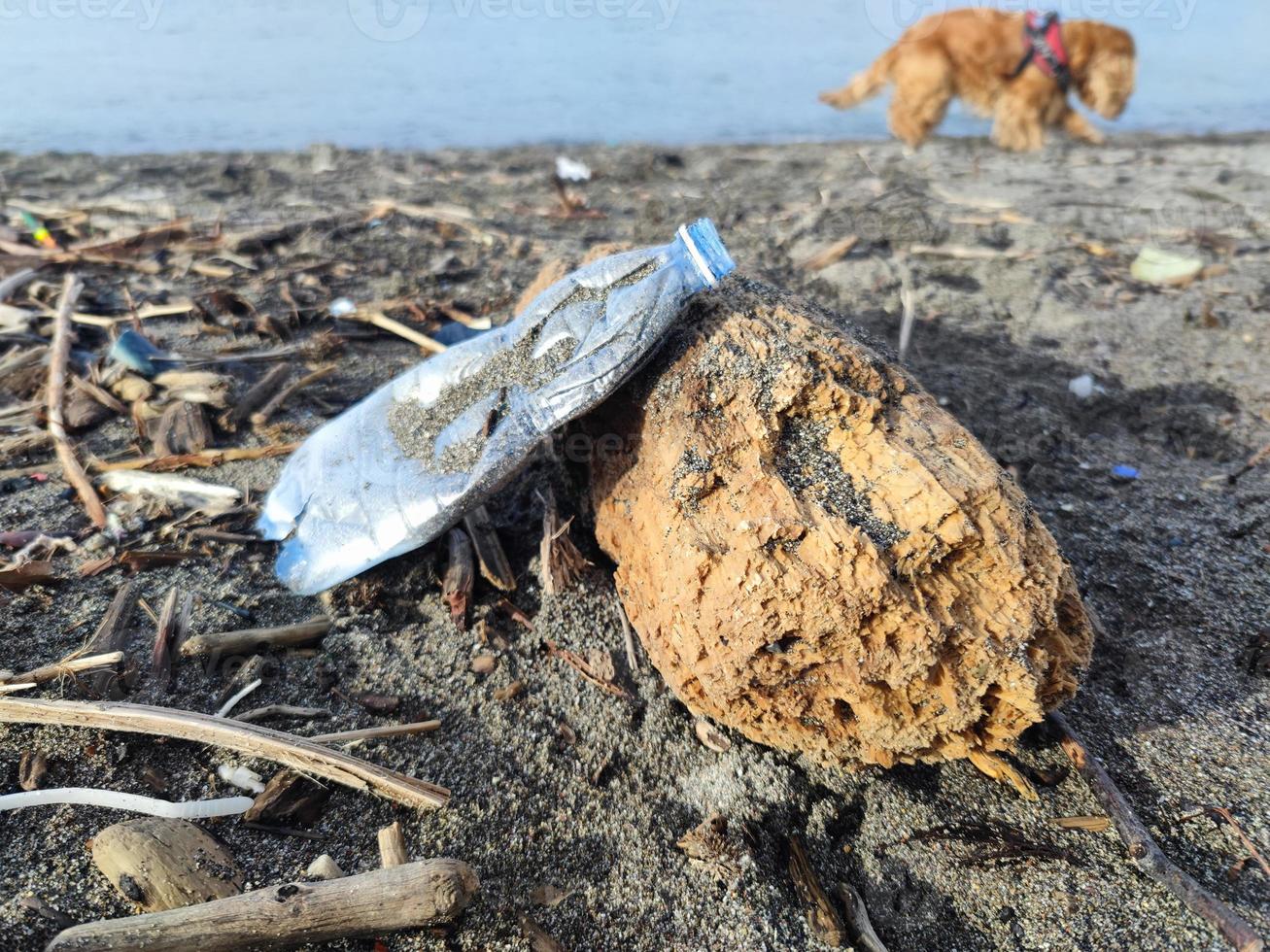 Plastic waste rubbish garbage on the beach photo