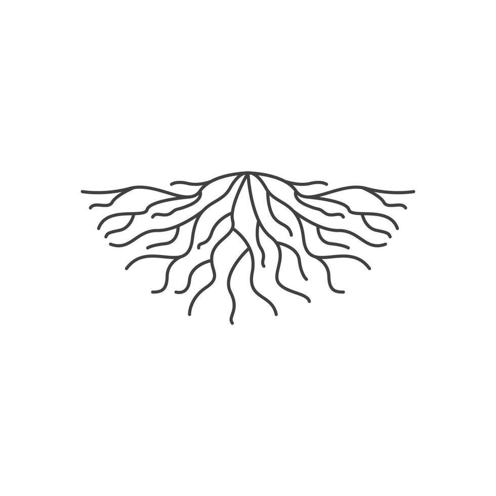roots icon vector