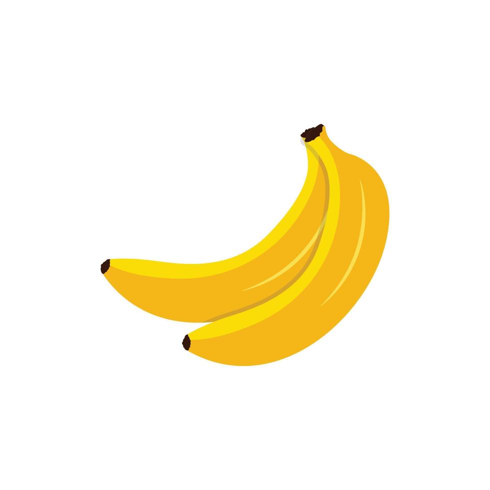 Banana Plantain Vector Illustration