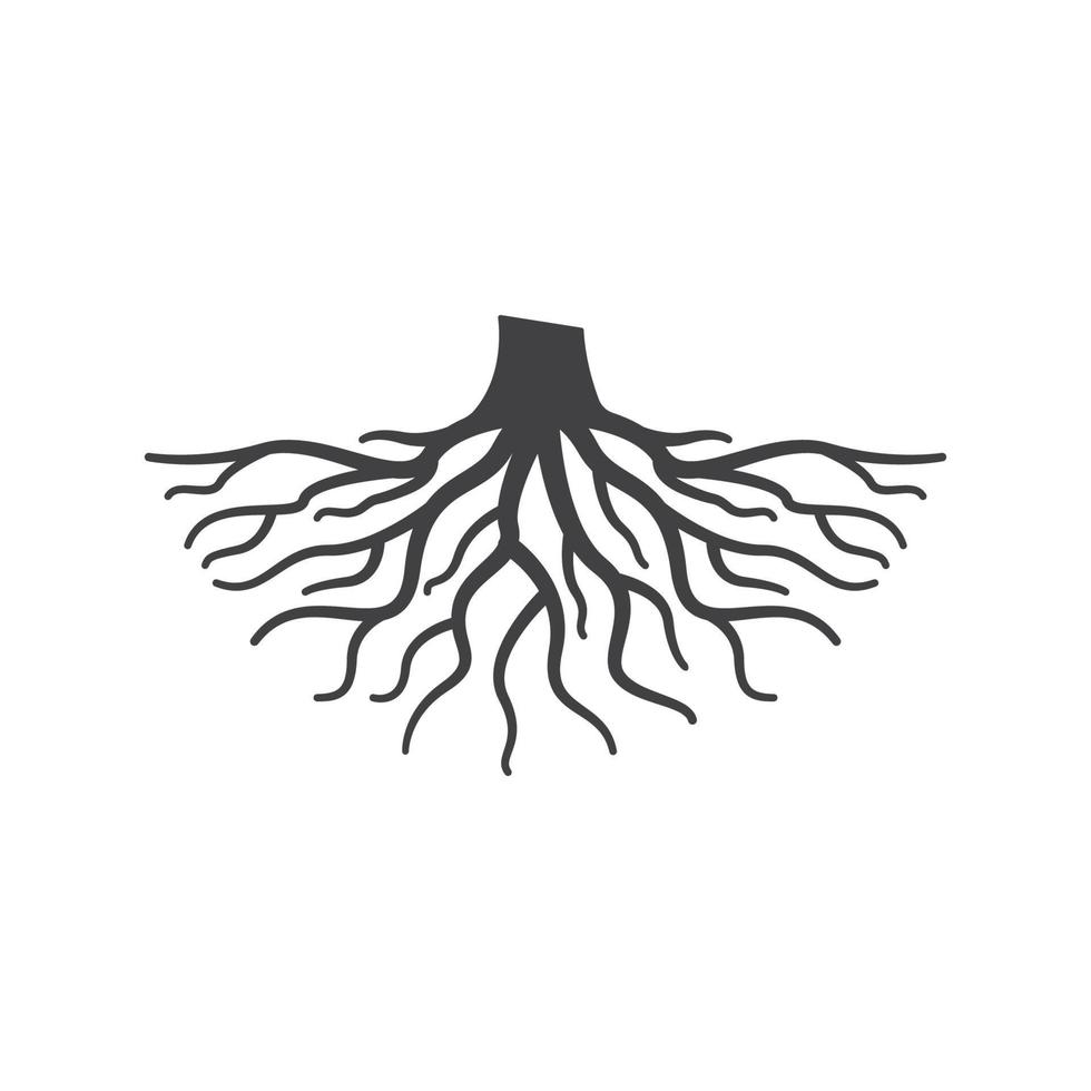 roots icon vector