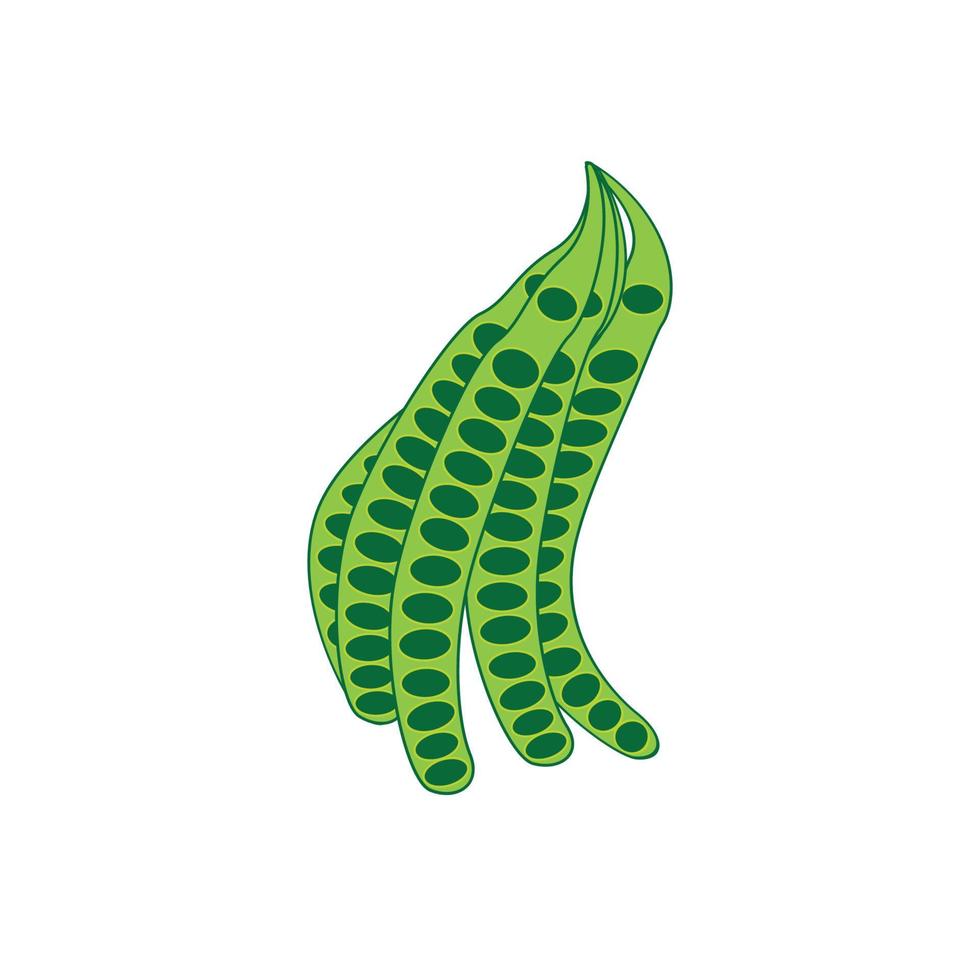 vegetable petai icon vector