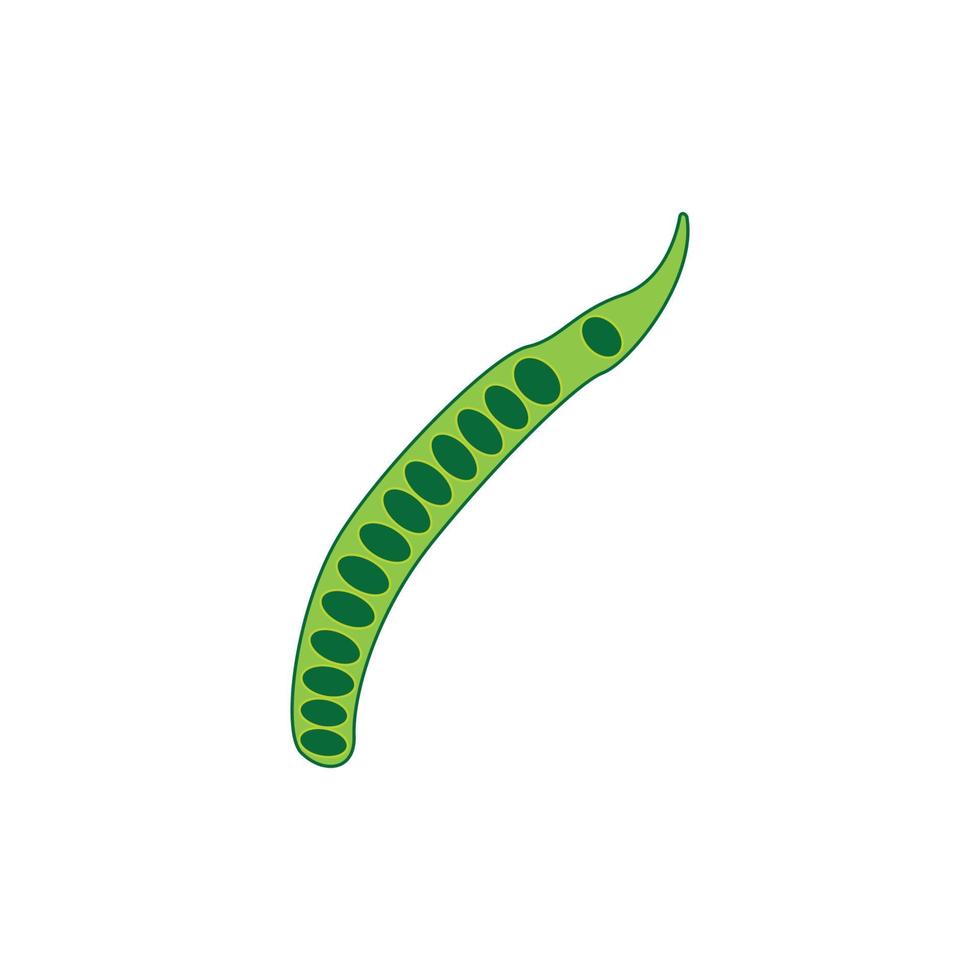 vegetable petai icon vector