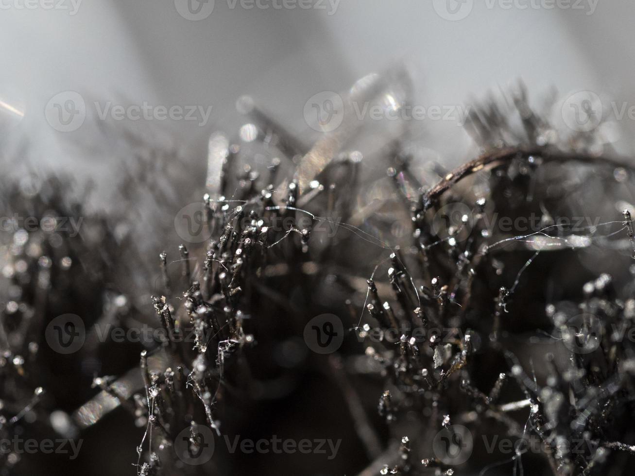 iron barbecue brush close up macro photo