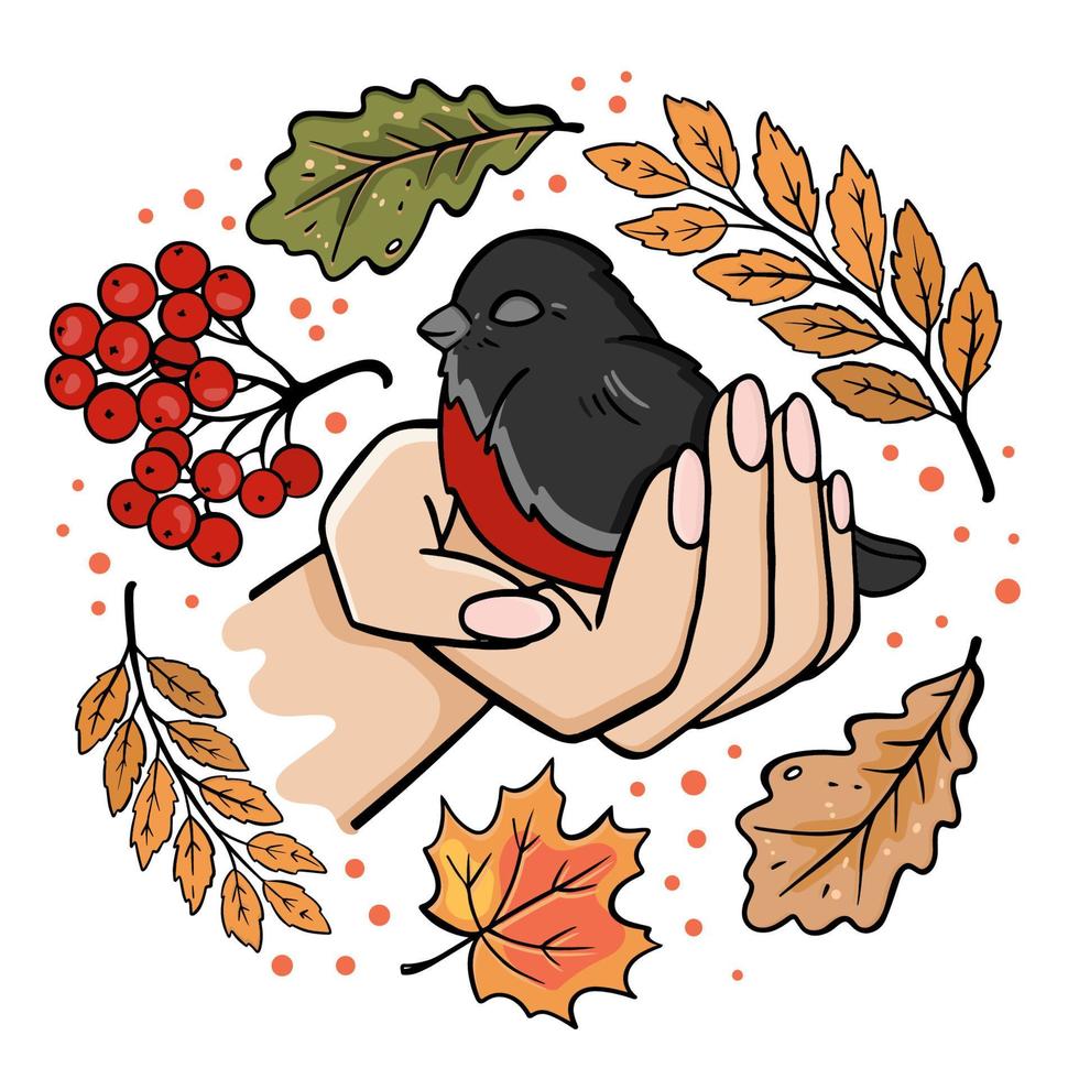 BULLFINCH IN THE PALM Autumn Bird Vector Illustration Set
