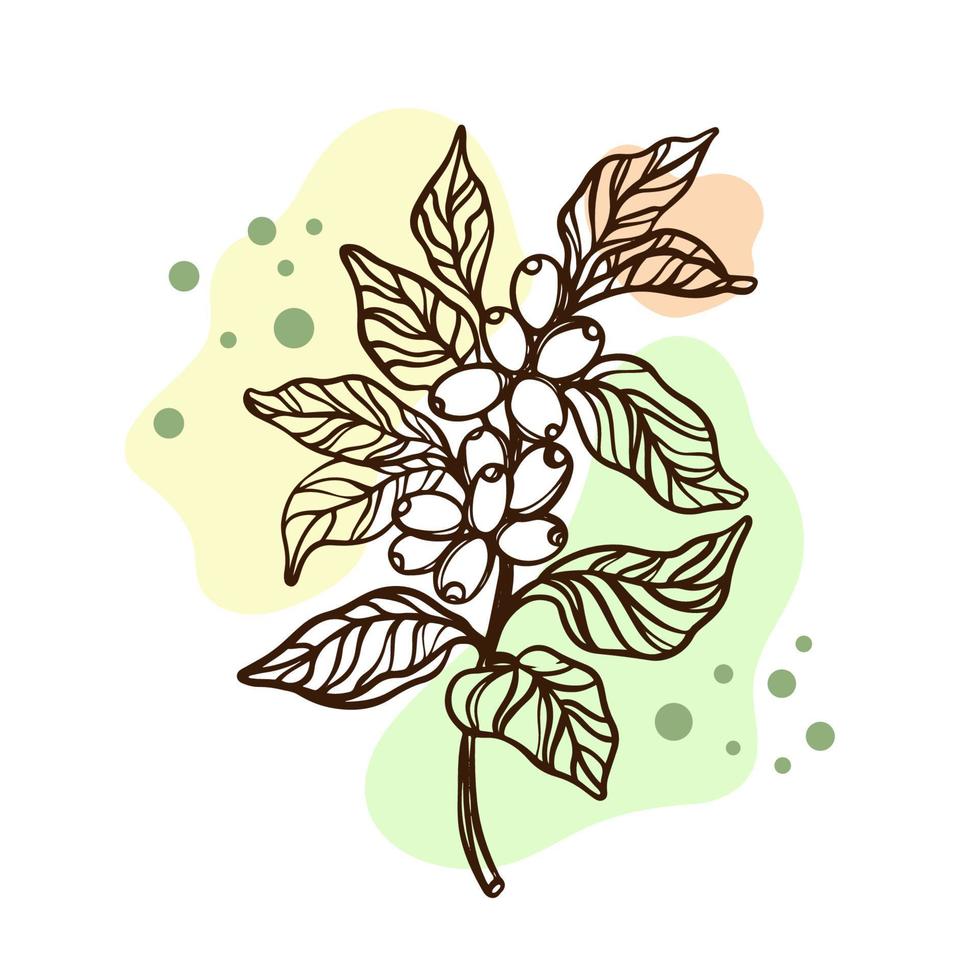 COFFEE ON A BRANCH Design Sticker Label Vector Illustration Set