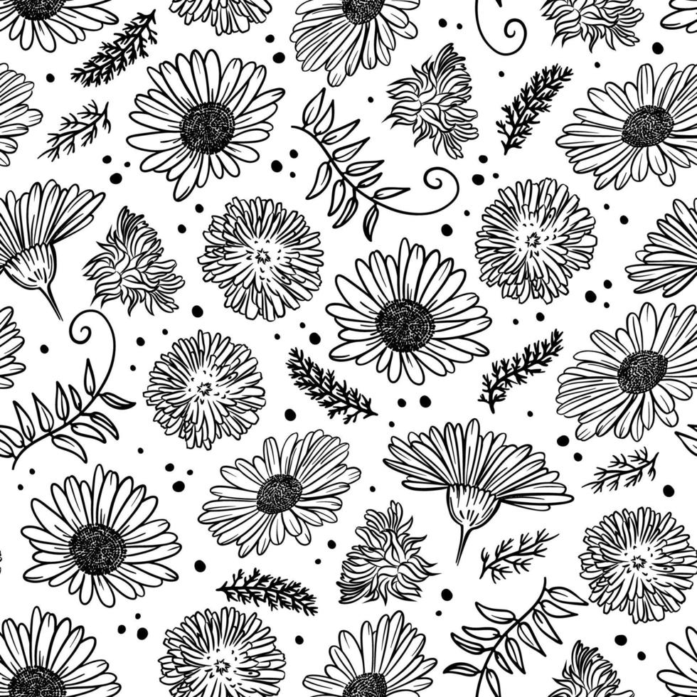 CHAMOMILE AND DANDELION Seamless Pattern Vector Illustration