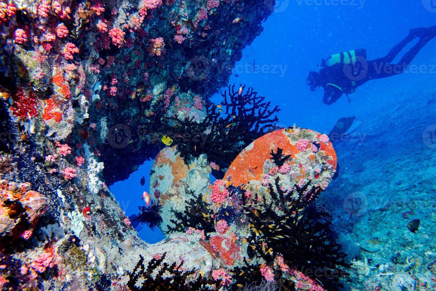 Ship Wreck in maldives indian ocean photo