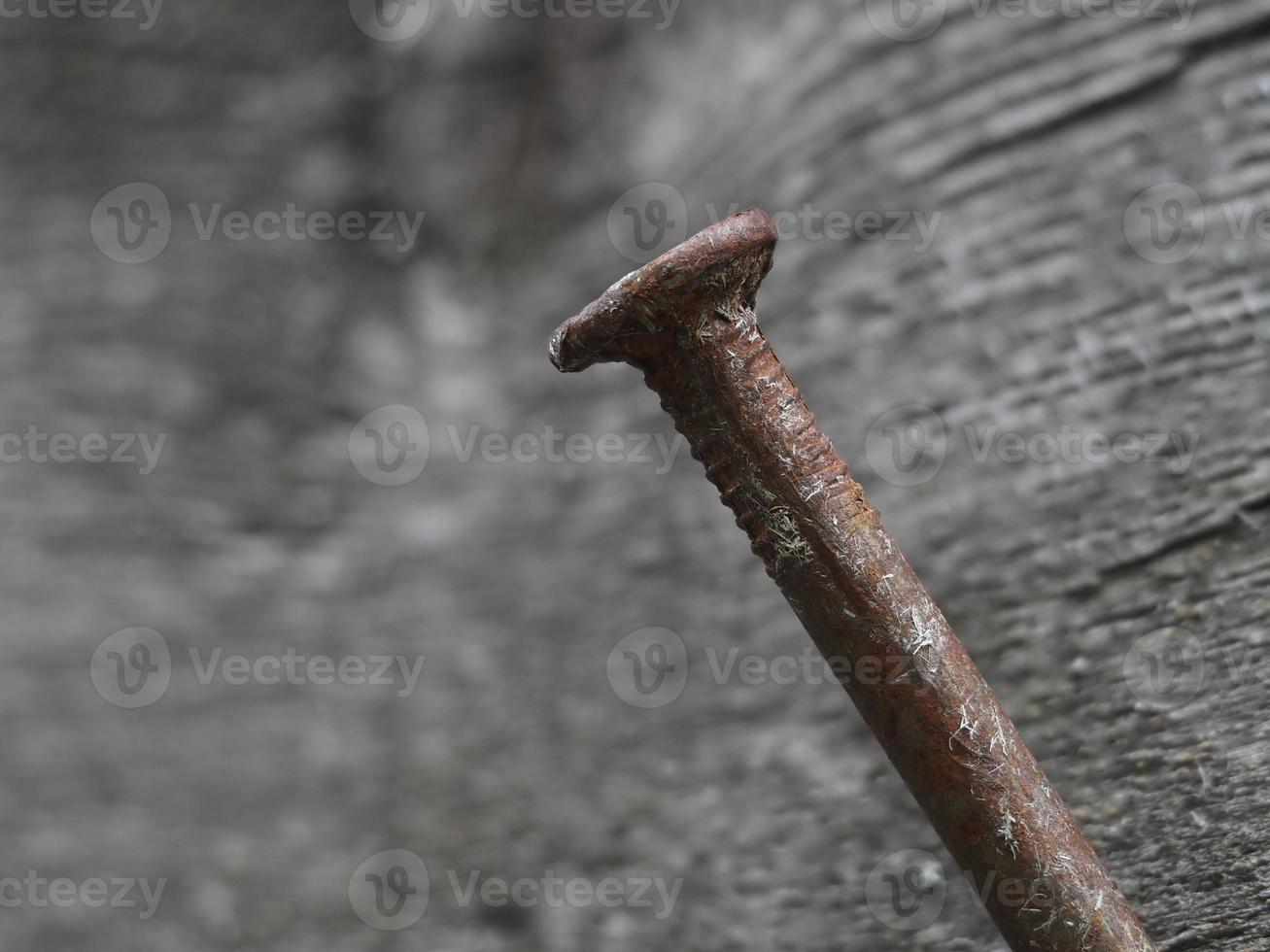 old Rusted iron spike on wood macro photo