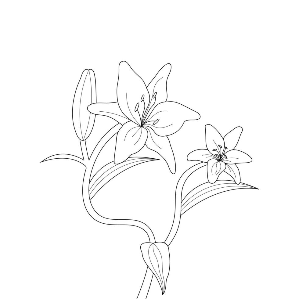Lily Flower Coloring Page And Book Hand Drawn Line Art Illustration vector