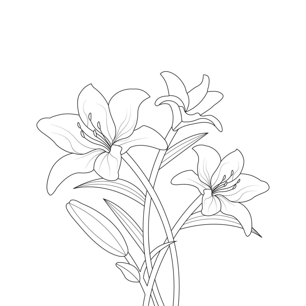 Lily Flower Coloring Page And Book Hand Drawn Line Art Illustration vector