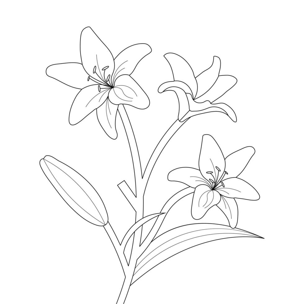 Lily Flower Coloring Page And Book Hand Drawn Line Art Illustration vector