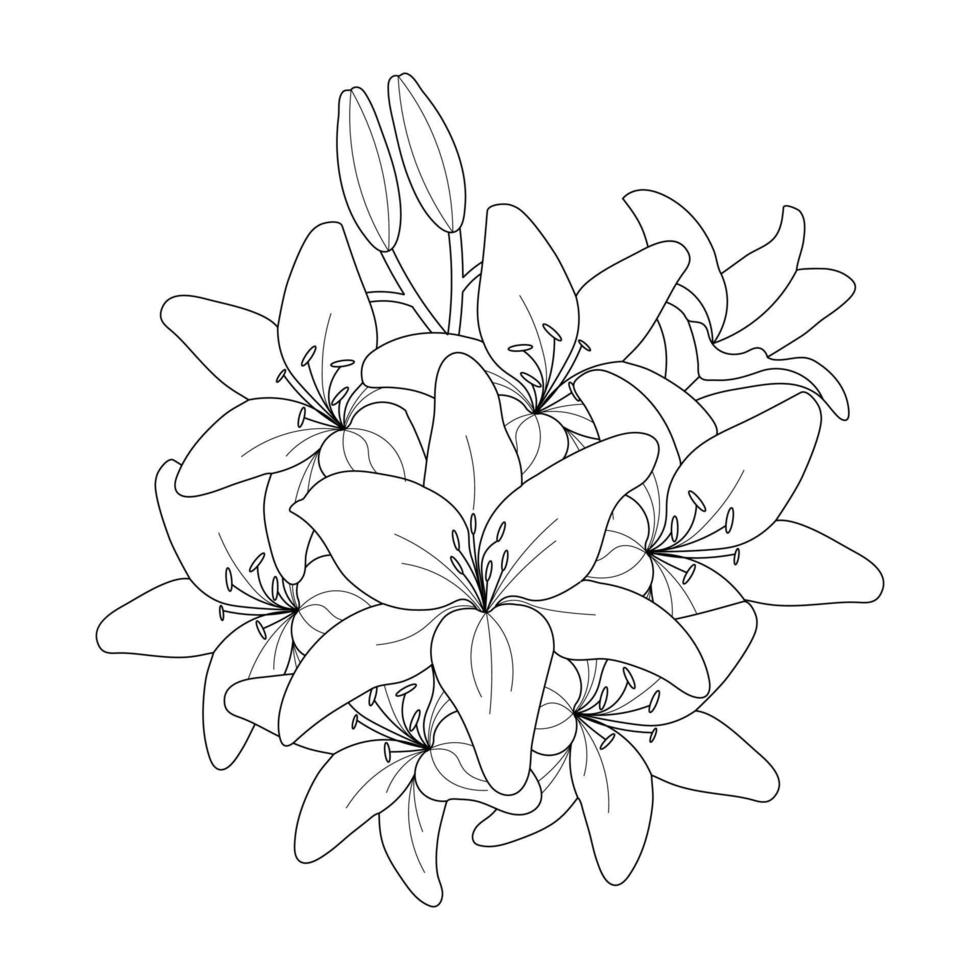 Lily Flower Coloring Page And Book Hand Drawn Line Art Illustration vector