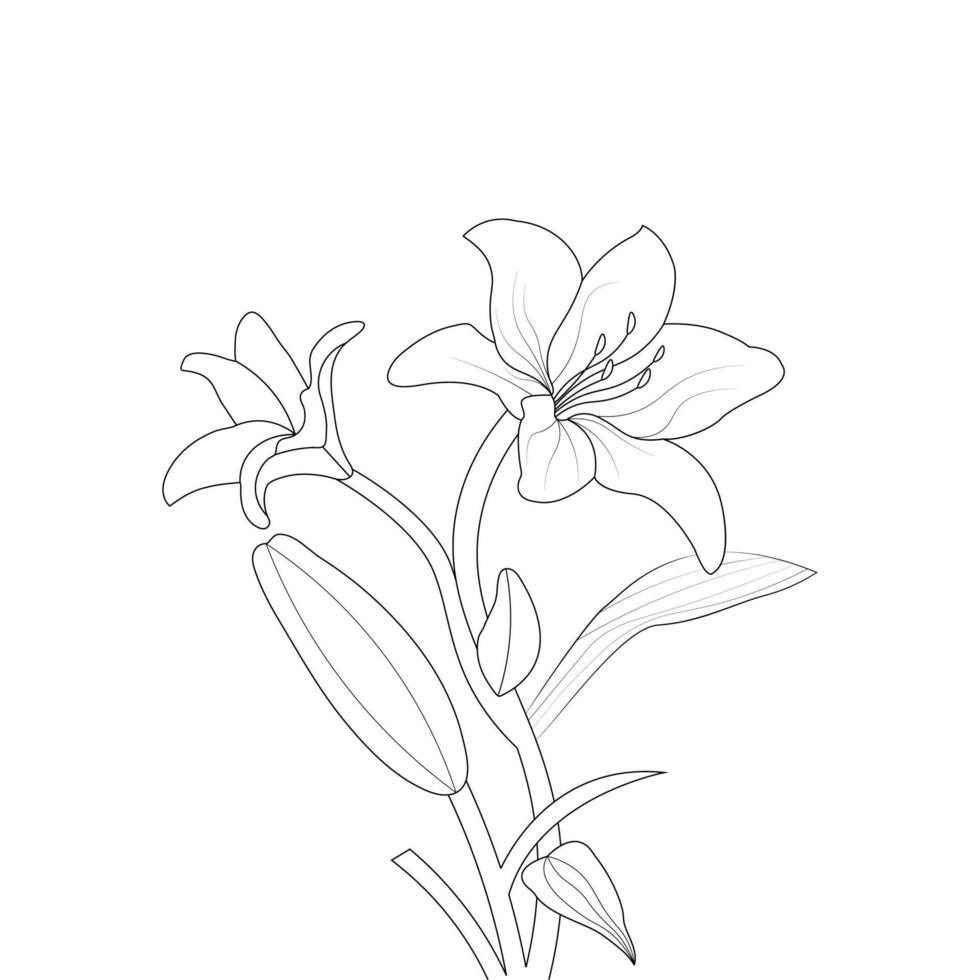 Lily Flower Coloring Page And Book Hand Drawn Line Art Illustration vector