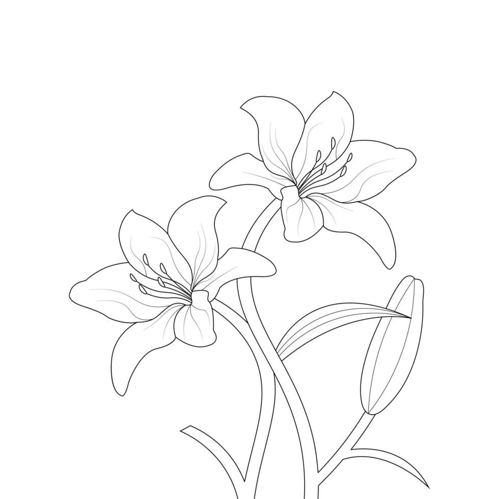 Lily Flower Coloring Page And Book Hand Drawn Line Art Illustration vector