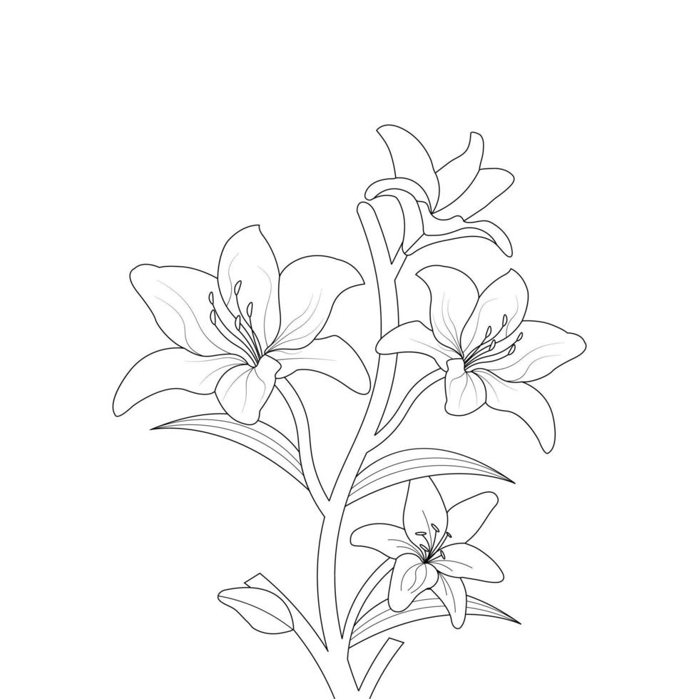 Lily Flower Coloring Page And Book Hand Drawn Line Art Illustration vector