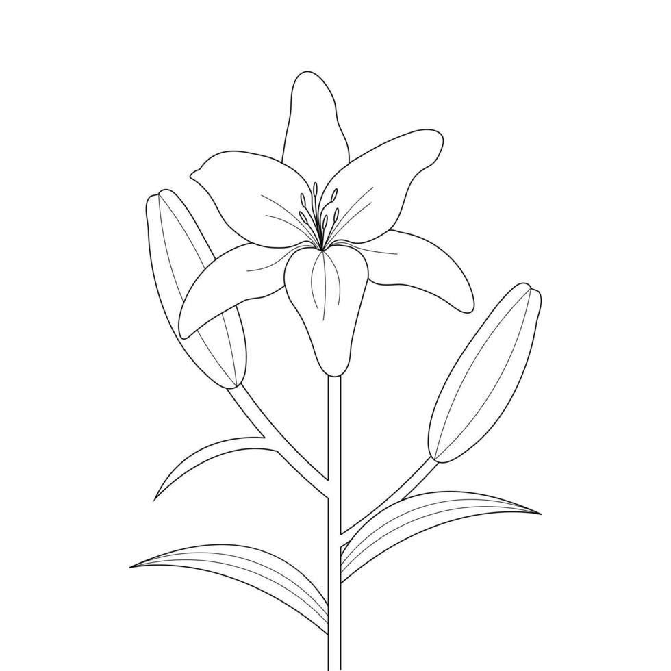 Lily Flower Coloring Page And Book Hand Drawn Line Art Illustration vector