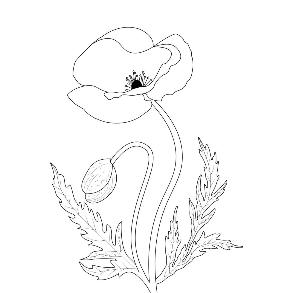 Flower Coloring Page And Book Poppy Flower Line Art Hand Drawn Illustration vector