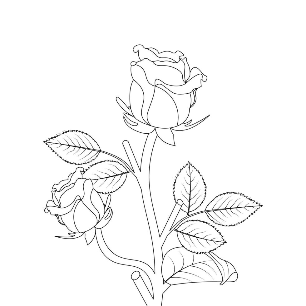 Rose Flower Coloring Page And Book Hand Drawn Line Art Illustration Beautiful Flower Black And White Drawing Vector