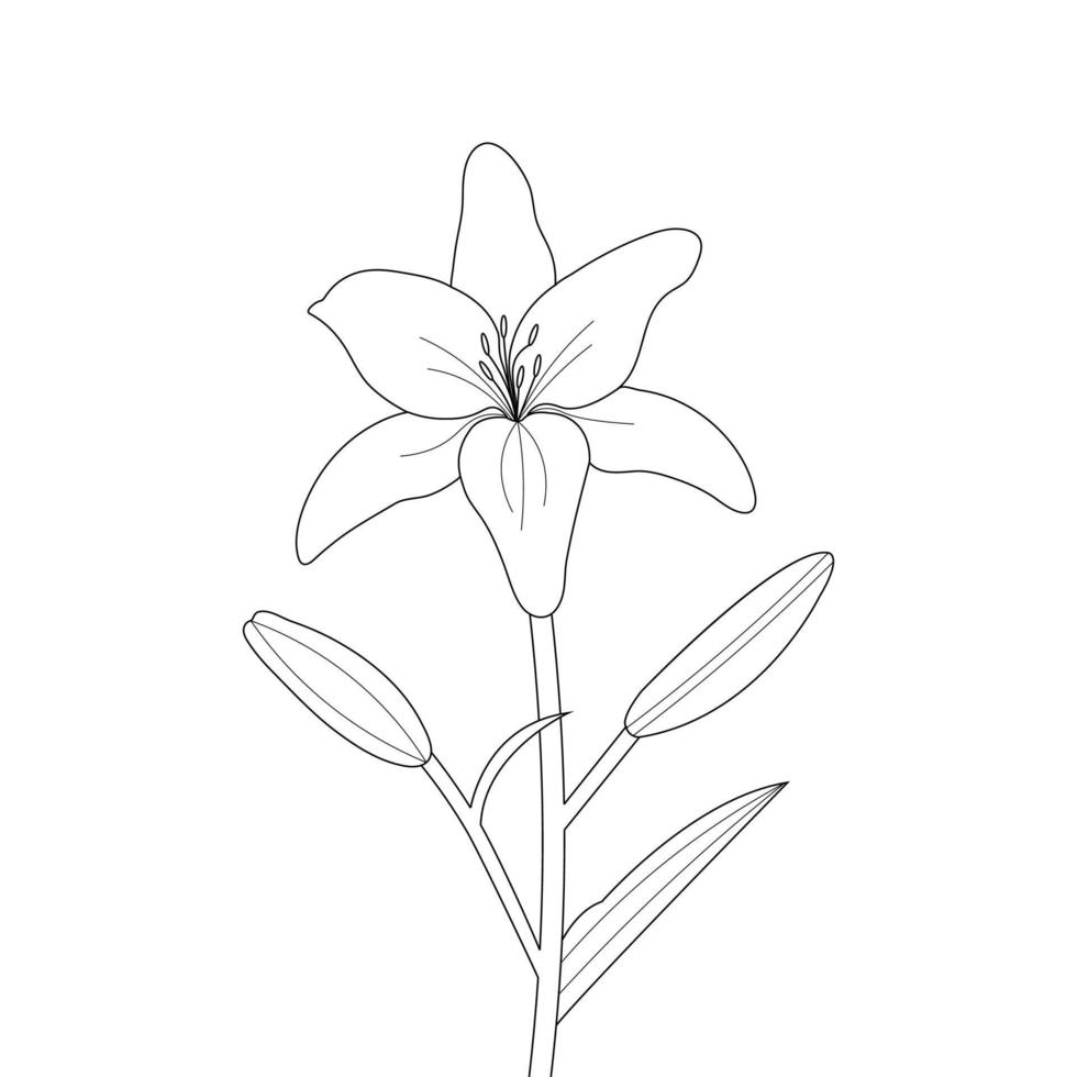 Lily Flower Coloring Page And Book Hand Drawn Line Art Illustration vector