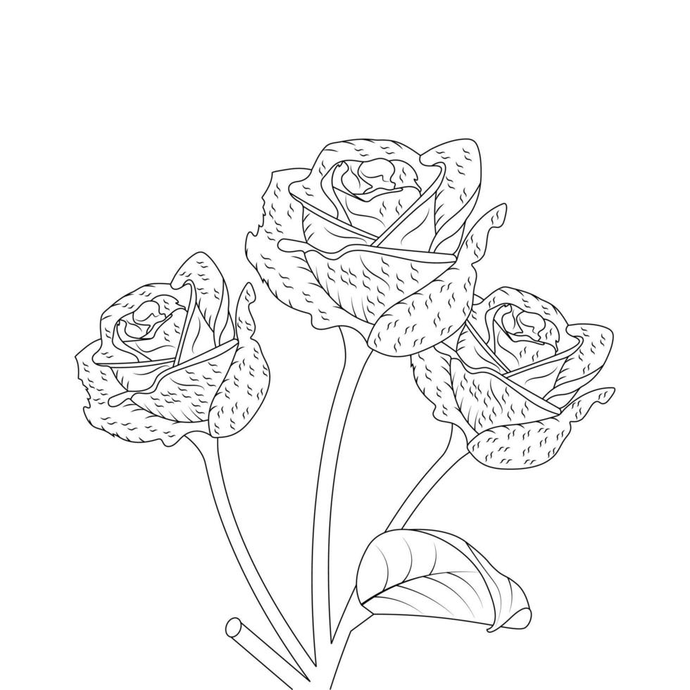 Rose Flower Coloring Page And Book Hand Drawn Line Art Illustration Beautiful Flower Black And White Drawing Vector