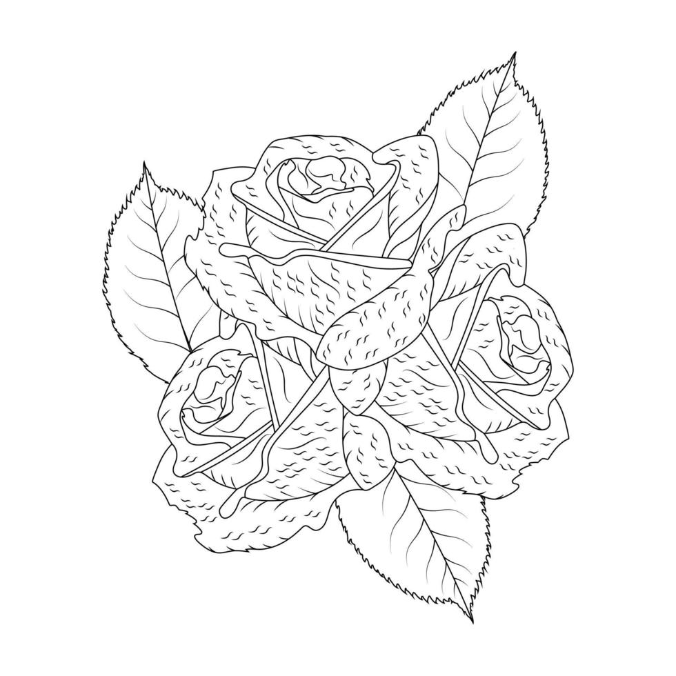 Rose Flower Coloring Page And Book Hand Drawn Line Art Illustration Beautiful Flower Black And White Drawing Vector