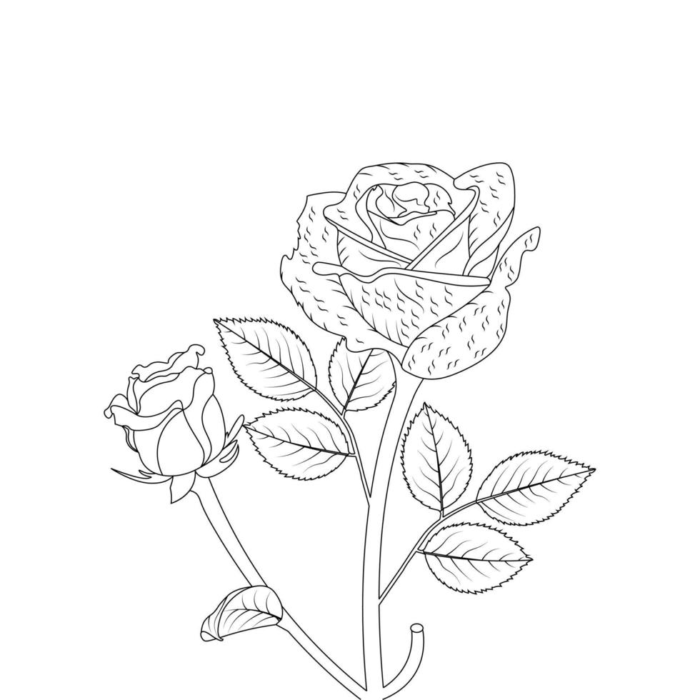 Rose Flower Coloring Page And Book Hand Drawn Line Art Illustration Beautiful Flower Black And White Drawing Vector