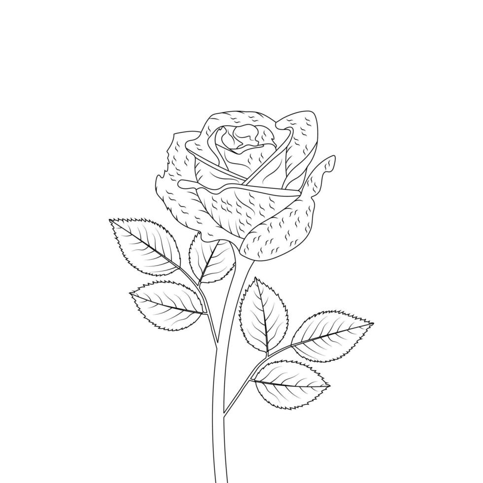 Rosa flor colorante página y libro mano dibujado línea Arte ilustración hermosa flor negro y blanco dibujo vector